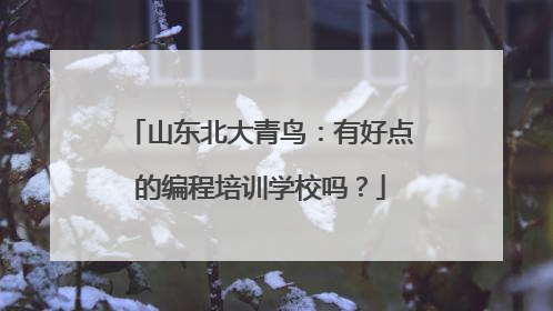 山东北大青鸟:有好点的编程培训学校吗?