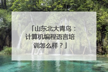 山东北大青鸟：计算机编程语言培训怎么样？
