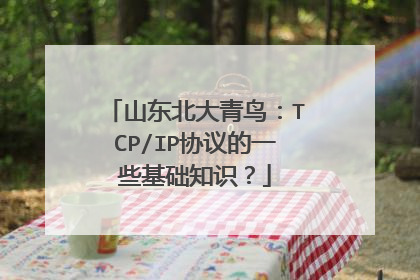 山东北大青鸟：TCP/IP协议的一些基础知识？