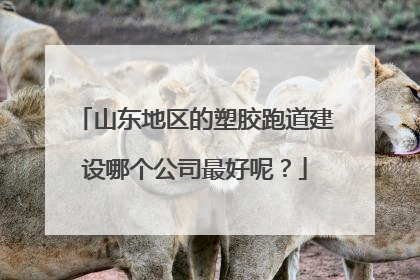 山东地区的塑胶跑道建设哪个公司最好呢?
