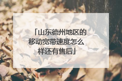 山东德州地区的移动宽带速度怎么样还有售后