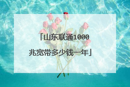 山东联通1000兆宽带多少钱一年