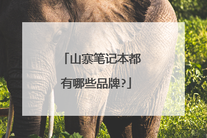山寨笔记本都有哪些品牌?