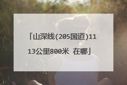 山深线(205国道)1113公里800米 在哪