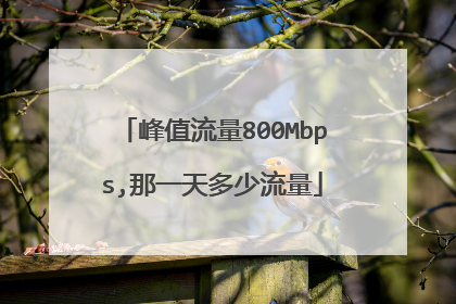 峰值流量800Mbps,那一天多少流量