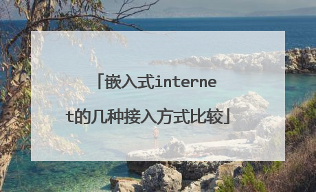 嵌入式internet的几种接入方式比较