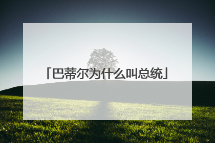 巴蒂尔为什么叫总统