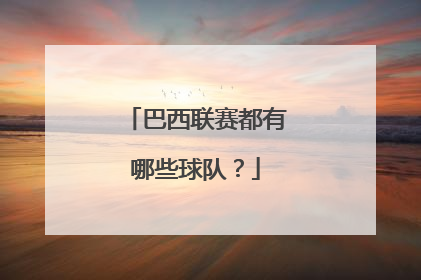 巴西联赛都有哪些球队？