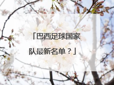 巴西足球国家队最新名单？