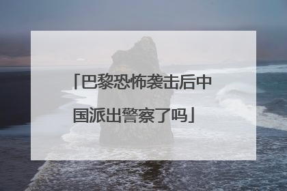 巴黎恐怖袭击后中国派出警察了吗