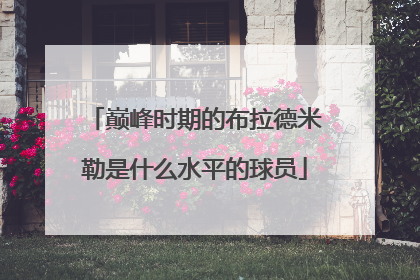 巅峰时期的布拉德米勒是什么水平的球员