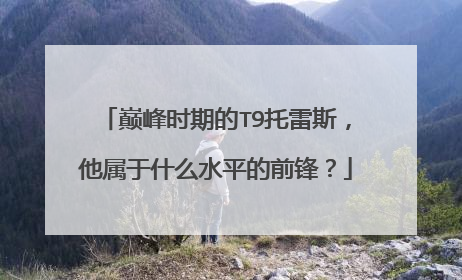 巅峰时期的T9托雷斯，他属于什么水平的前锋？