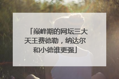 巅峰期的网坛三大天王费德勒，纳达尔和小德谁更强