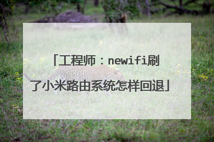 工程师：newifi刷了小米路由系统怎样回退