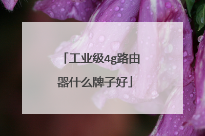 工业级4g路由器什么牌子好