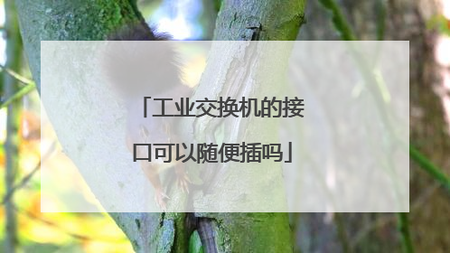 工业交换机的接口可以随便插吗