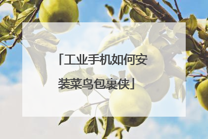 工业手机如何安装菜鸟包裹侠