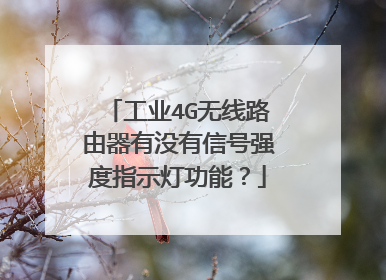 工业4G无线路由器有没有信号强度指示灯功能？
