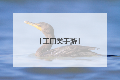 工口类手游