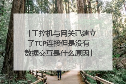 工控机与网关已建立了TCP连接但是没有数据交互是什么原因