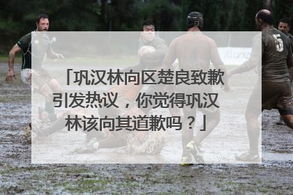 巩汉林向区楚良致歉引发热议，你觉得巩汉林该向其道歉吗？