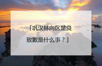 巩汉林向区楚良致歉是什么事？