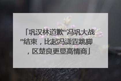 巩汉林道歉“冯巩大战”结束，比起冯潇霆跳脚，区楚良更显高情商