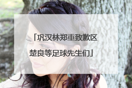 巩汉林郑重致歉区楚良等足球先生们