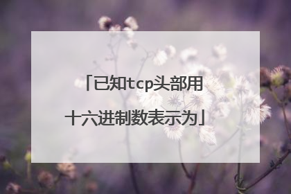 已知tcp头部用十六进制数表示为