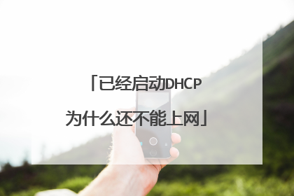 已经启动DHCP为什么还不能上网