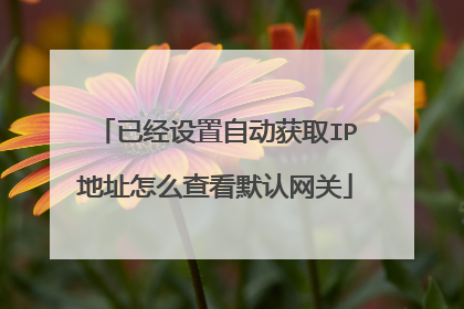 已经设置自动获取IP地址怎么查看默认网关