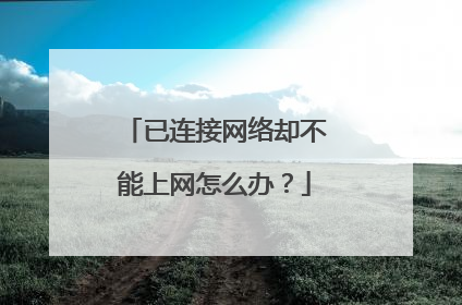 已连接网络却不能上网怎么办？