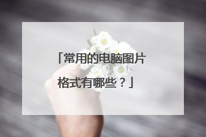 常用的电脑图片格式有哪些?
