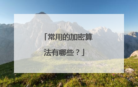 常用的加密算法有哪些?