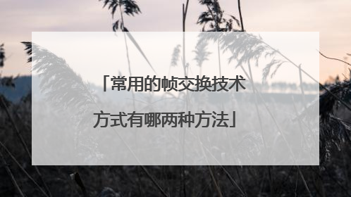 常用的帧交换技术方式有哪两种方法
