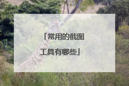常用的截图工具有哪些