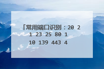 常用端口识别：20 21 23 25 80 110 139 443 445等端口分别代表什么