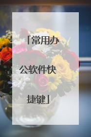 常用办公软件快捷键