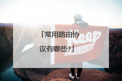 常用路由协议有哪些?