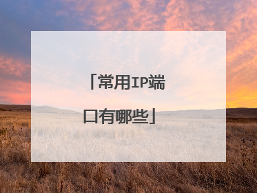 常用IP端口有哪些