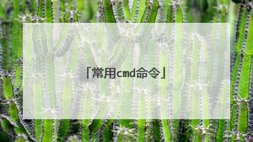 常用cmd命令