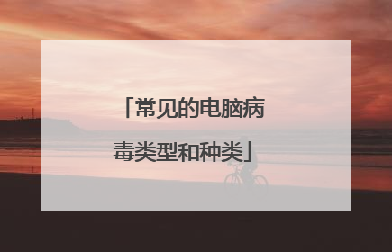 常见的电脑病毒类型和种类
