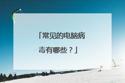 常见的电脑病毒有哪些?