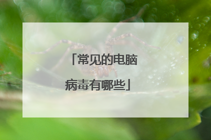 常见的电脑病毒有哪些