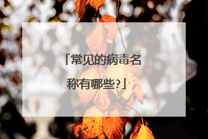常见的病毒名称有哪些?
