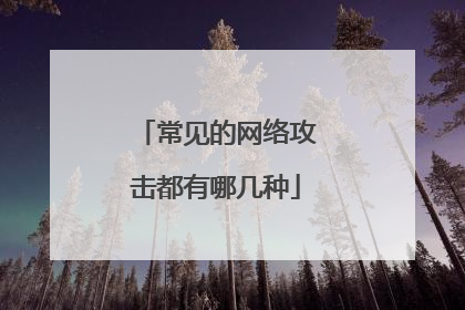 常见的网络攻击都有哪几种