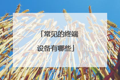 常见的终端设备有哪些
