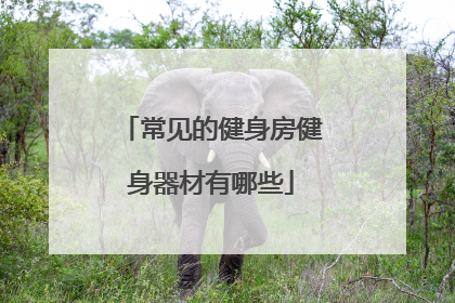 常见的健身房健身器材有哪些