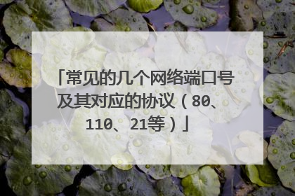 常见的几个网络端口号及其对应的协议（80、110、21等）