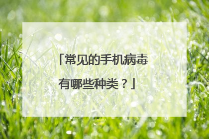 常见的手机病毒有哪些种类?